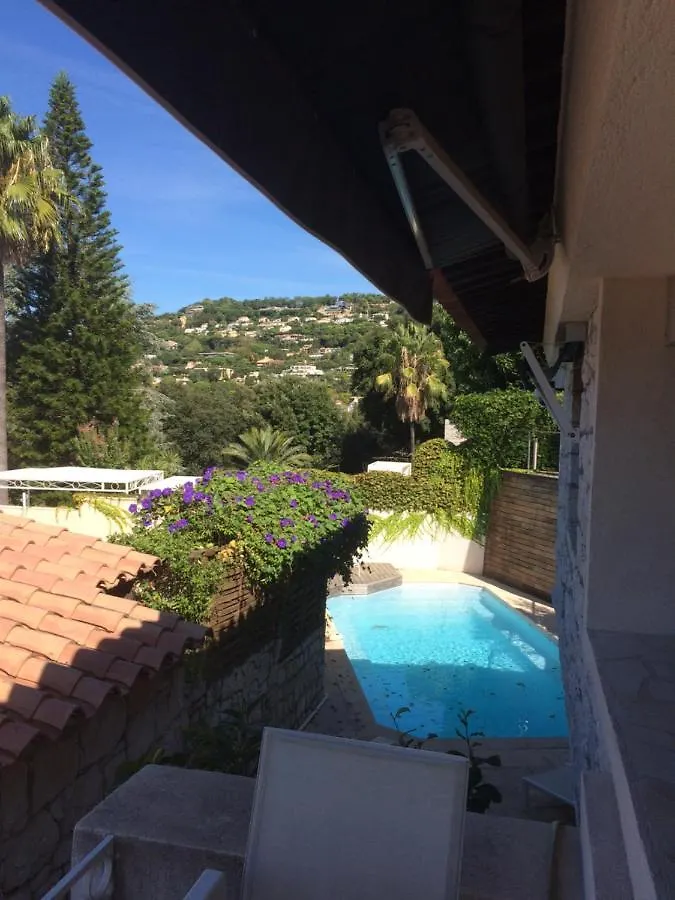 Villa Les 5 Palmiers France