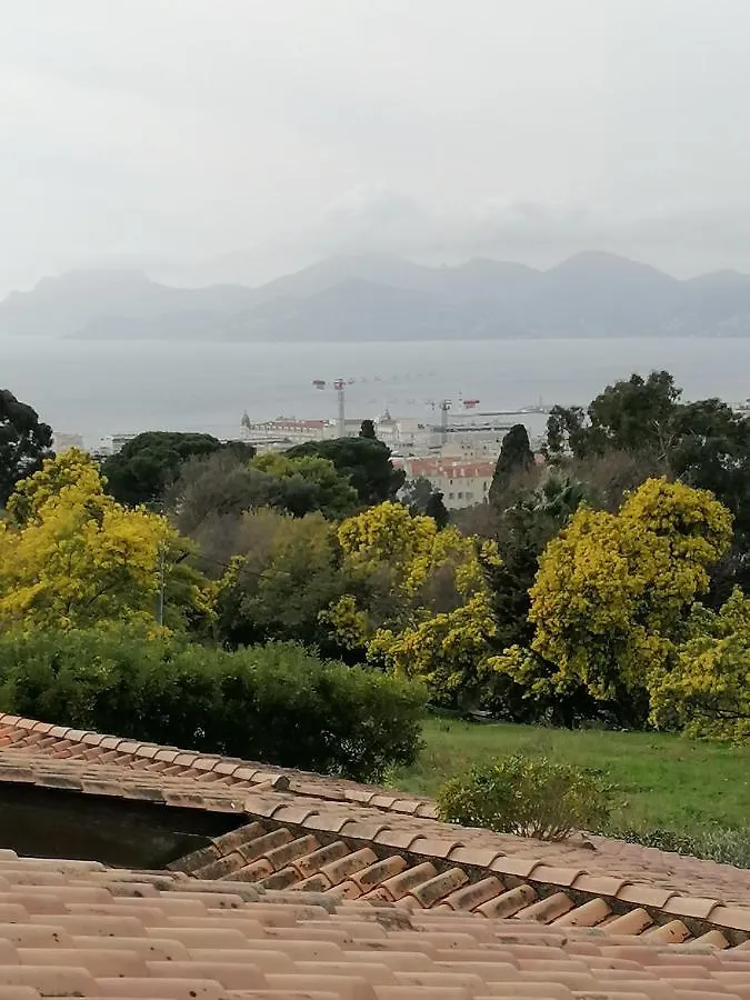 Villa Les 5 Palmiers Cannes