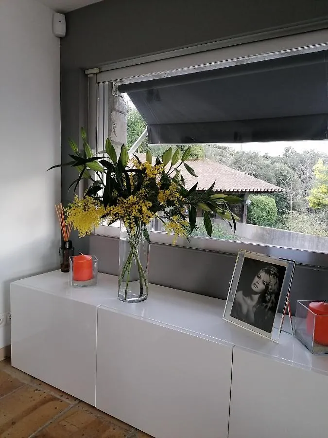 Villa Les 5 Palmiers  Cannes